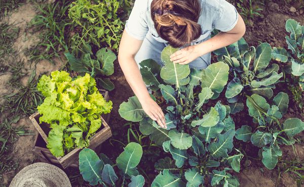 /2018-07-27_How Gardening is Your New Soulfulness Exercise.jpg